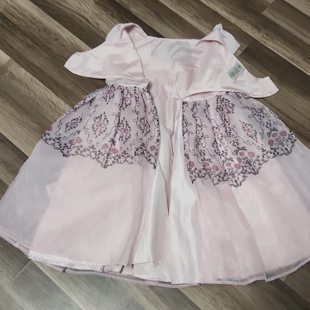 Aurora Sleeping Beauty Inspired Dress ADAPTIVE - Special Needs Siz 6